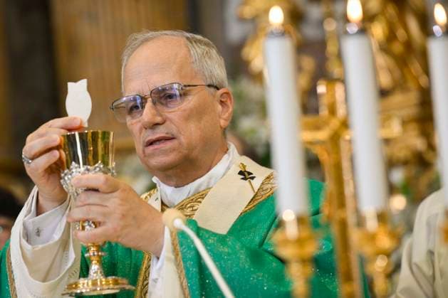 News Themen der Woche KW28 ITALY - POPE LEO XIV PRESIDES OVER A MASS AT THE PARROCCHIA PONTIFICIA DI SAN TOMMASO DA VILLANOVA ( PAPAL PARISH OF ST. THOMAS OF VILLANOVA ) IN CASTEL GANDOLFO - 2025 7 13 Italy, Castel Gandolfo , Vatican, 2025 7 13 Pope Leo XIV presides over a Mass at the Parrocchia Pontificia di San Tommaso da Villanova (Papal Parish of St. Thomas of Villanova) in the summer papal estate in Castel Gandolfo, 40 km southeast of Rome,. The newly elected Pope Leo XIV is taking a summer break from 06 July to 20 July at the papal palace in Castel Gandolfo, a longtime country residence for pontiffs located just outside Rome EDITORIAL USE ONLY - NO BOOKS Copyright: xVATICANxMEDIAx