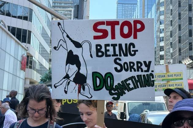 Animals Rights March In Toronto, Canada Participants gather in large numbers at Yonge and Dundas intersection during the Toronto Animal Rights March in Toronto, Canada, on July 12, 2025. The annual march aims to raise awareness about animal cruelty and promote a more compassionate, vegan lifestyle. Activists march through downtown streets holding signs, chanting slogans, and calling for stronger animal protection laws. Toronto Canada  Copyright: xArrushxChoprax originalFilename: chopra-notitle250712_npf1Y.jpg