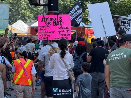 Animals Rights March In Toronto, Canada Participants gather in large numbers at Yonge and Dundas intersection during the Toronto Animal Rights March in Toronto, Canada, on July 12, 2025. The annual march aims to raise awareness about animal cruelty and promote a more compassionate, vegan lifestyle. Activists march through downtown streets holding signs, chanting slogans, and calling for stronger animal protection laws. Toronto Canada  Copyright: xArrushxChoprax originalFilename: chopra-notitle250712_npyG7.jpg