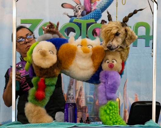 Entertainment Themen der Woche KW28 July 13,, 2025 - Pasadena, California, USA - MILENA KON and her dog onstage for the Creative Styling competition at Groom Expo West, a professional pet grooming conference and tradeshow. Pasadena USA - ZUMAce6_ 20250713_zaf_ce6_021 Copyright: xBrianxCahnx