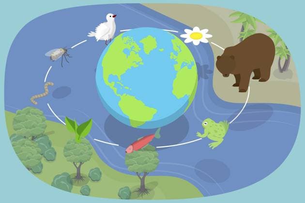 3D Isometric Flat Illustration der biologischen Vielfalt, das Konzept der Schutz der Artenvielfalt und Unterschiede durch die biologische Vielfalt 3D Isometric Flat Illustration of Biodiversity, The Concept Of Protecting Species Variety And Differences Through Biodiversity Copyright: imageBROKER AnastasiiaxTorianyk ibxplw14155828.jpg