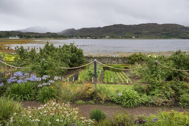 Inverewe Gardens, einer der nördlichst gelegenen botanischen Gärten der Welt, gegründet von Osgood Mackenzie, Walled Garden, ummauerter Garten, Poolewe, Loch Ewe, Highlands, Hochland, Schottland, Großbritannien, Europa Inverewe Gardens, one of the most northerly botanical gardens in the world, founded by Osgood Mackenzie, Walled Garden, Poolewe, Loch Ewe, Highlands, Highlands, Scotland, Great Britain Copyright: imageBROKER OlafxKrüger ibxomk13848286.jpg