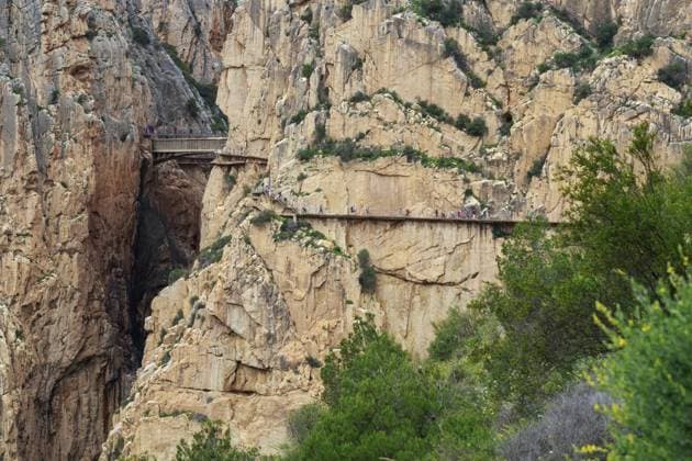 Schmaler Wanderweg entlang steiler Felswand, umgeben von üppiger Vegetation am Caminito del Rey Pfad, Malaga, Spanien, Europa Narrow hiking trail along a steep rock face, surrounded by lush vegetation on the Caminito del Rey path, Malaga, Spain, Europe Copyright: imageBROKER ThomasxHeitz ibxtsh13736379.jpg