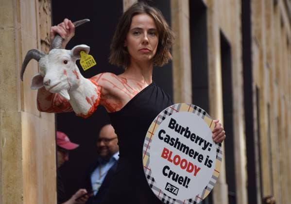 Bilder des Jahres 2025, News 07 Juli News Bilder des Tages July 16, 2025, London, England, United Kingdom: A PETA activist stands with an artificial severed goat head and a sign stating Cashmere is bloody cruel outside the Burberry headquarters at Horseferry House as the fashion grouo holds its Annual General Meeting (AGM). The action is part of the animal rights group s ongoing campaign calling on Burberry to drop cashmere from its products and use vegan fabrics instead. London United Kingdom - ZUMAv130 20250716_zip_v130_012 Copyright: xVukxValcicx