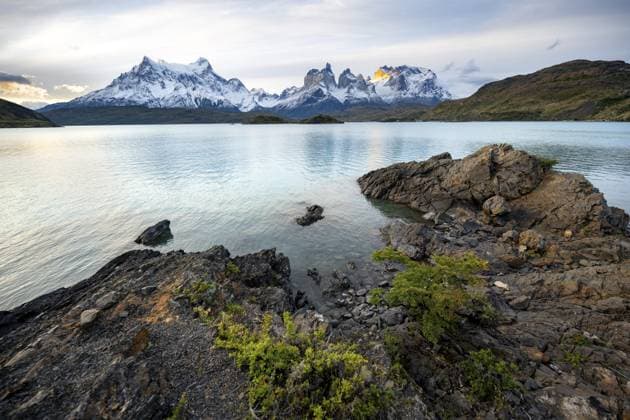 Bergmassiv Cuernos del Paine bei Sonnenuntergang, Ufer des blauen Sees Lago Pehoe, Nationalpark Torres del Paine, Chile Cuernos del Paine mountain range at sunset, shore of the blue lake Lago Pehoe, Torres del Paine National Park, Chile Copyright: imageBROKER MaraxBrandl ibxmab14335504.jpg