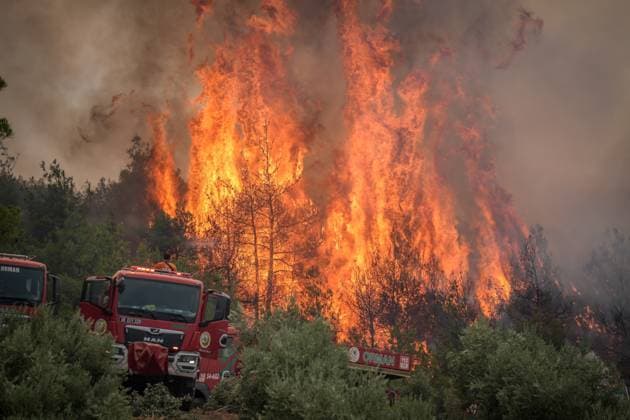 Firefighting efforts continue in Northwestern Turkiye BILECIK, TURKIYE - JULY 22: Firefighting teams continue to operate to extinguish the wildfire that spread from Sakarya s Geyve district to Bilecik, Turkiye on July 22, 2025. Crews are working to prevent the flames from reaching Kazanci village, which was evacuated as a precaution. Sergen Sezgin Anadolu Bilecik Turkey. Editorial use only. Please get in touch for any other usage.  Copyright: x2025xAnadoluxSergenxSezginx