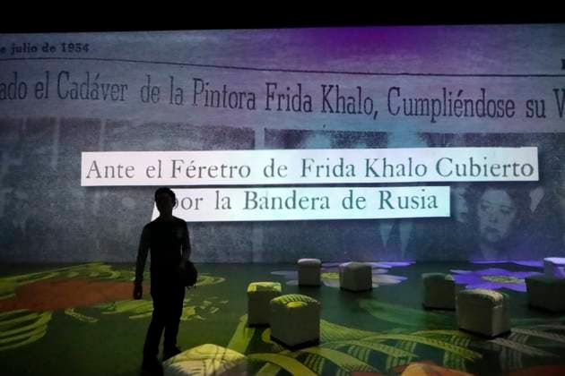 A person takes a tour during the Frida Kahlo: The life of an icon Immersive Biography exhibition at Espacio Alter. on July 22, 2025 in Mexico City, Mexico. Mexico City Mexico - ZUMAe321 20250722_zia_e321_008 Copyright: xLuisxBarronx