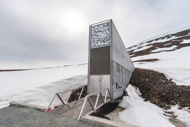 schneebedeckter Berg und Eingang zum Svalbard Global Seed Vault, Weltweiter Saatgut-Tresor auf Spitzbergen, Norwegen, Spitzbergen, Longyearbyen entrance to the Svalbard Global Seed Vault built into a snow covered mountain, Norway, Svalbard, Longyearbyen BLWS728879 *** Snow-covered mountain and Entrance to Svalbard Global Seed Vault, worldwide Seeds Vault at Spitsbergen, Norway, Spitsbergen, Longyearbyen Entrance to The Svalbard Global Seed Vault built into a Snow Covered mountain, Norway, Svalbard, Longyearbyen BLWS728879 Copyright: xblickwinkel AGAMI S.xPitamitzx