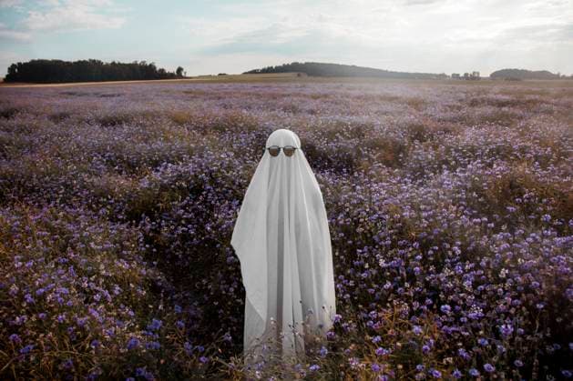 Creative Highlight Symbolbilder Ghost wearing sunglasses relaxing in purple cornflower meadow at sunset model released, Symbolfoto, VSNF03689