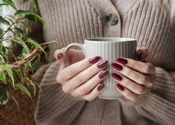 Hände einer jungen Frau mit weißer Maniküre auf den Nägeln Beautiful hands of a young woman with dark red manicure on nails. Girl in a sweater holding a mug of tea (License=RF) Copyright: xZoonar.com OlenaxRudox 23749677