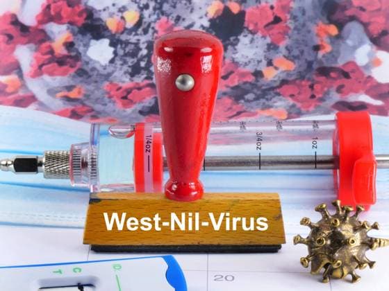 Symbolbild West-Nil-Virus als Schrift auf Stempel ! West-Nil-Virus als Symbolbild *** Symbol image West Nile Virus as font on stamp West Nile Virus as symbol image