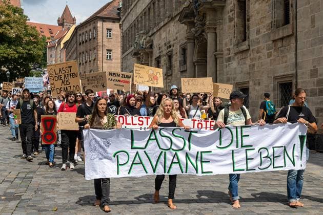 Protest Demonstration gegen Tötung von Pavianen im Tiergarten, Nürnberg, 2607.2025 Demonstrationszug in der Innenstadt von Nürnberg gegen die geplante Tötung von Guinea-Pavianen im Tiergarten Nürnberg. An der Spitze der Versammlung tragen mehrere Personen ein großes Transparent mit der Aufschrift Lasst die Paviane leben!. Dahinter halten zahlreiche Teilnehmende selbst gestaltete Schilder mit kritischen Botschaften zur Tötung von Tieren im Zoo. Nürnberg Altstadt - Saint Sebald Bayern Deutschland *** Protest Demonstration against the killing of baboons in the zoo, Nuremberg, 2607 2025 Demonstration march in the city center of Nuremberg against the planned killing of Guinea baboons in the Nuremberg Zoo At the head of the gather 20250726-6V2A5282-M4000