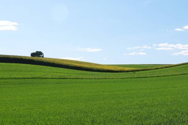 A stunning rural landscape with lush green fields under a clear blue sky. The serene setting highlights the beauty of nature, capturing rolling hills in full color. Model Released DavidJerez_ID30393_1025314_009 Copyright: xDavidxJerezx RECORD DATE NOT STATED