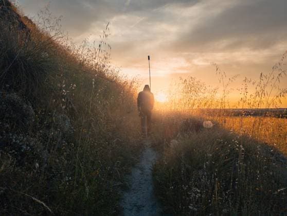 IMAGO Creative, Ostern, Bräuche, Osterspaziergang #2 MR_ID30164_21885_JavierMartinezMoran.jpg A man walks through a path surrounded by tall grass at sunset in Ontigola, Toledo, Spain. The warm glow of the sun creates a serene and peaceful atmosphere. Model Released JavierMartinez_ID30164_1017714_013 Copyright: xJavierxMartinezx RECORD DATE NOT STATED