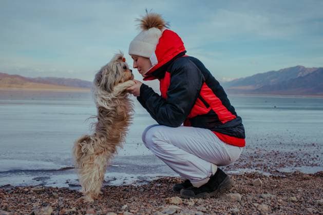 Creative Highlights Symbolbilder Junge Frau Tourist mit Hund posiert auf gefrorenen See Hintergrund im Winter Young woman tourist with dog posing on frozen lake background at winter (License=RF) ,model released, Symbolfoto Copyright: xZoonar.com StanislavxPerovx 23792653 ,model released, Symbolfoto ,property released