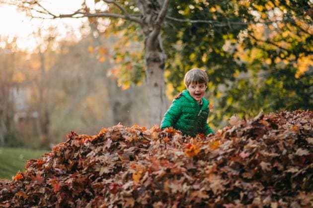 Happy child playing and hiding in a pile of leaves during autumn North Andover, Massachusetts, United States CR_FKNH250723-1791670-01 ,model released, Symbolfoto