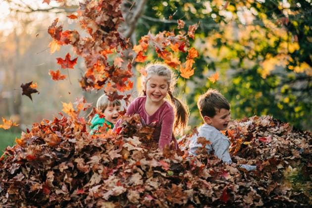 Children throwing colorful autumn leaves in the air North Andover, Massachusetts, United States CR_FKNH250723-1791683-01 ,model released, Symbolfoto