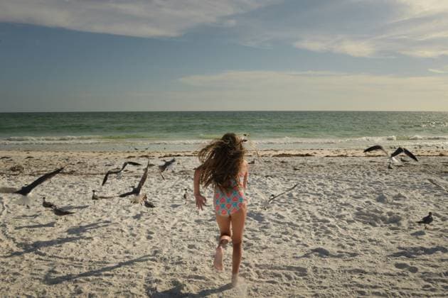 Creative Highlight Symbolbilder Tween girl running with flock of seagulls Gulf of Mexico Anna Maria, Florida, United States CR_JOKU250725-1794407-01 ,model released, Symbolfoto