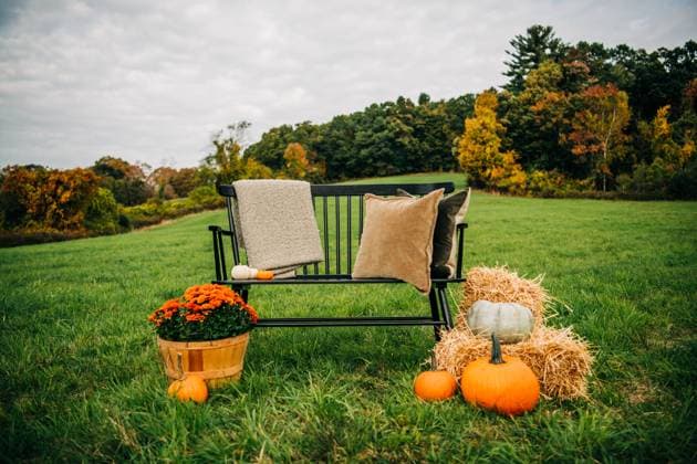 Bench with blanket, pillows, pumpkins and autumn scenery North Andover, Massachusetts, United States R_FKNH250723-1791823-01