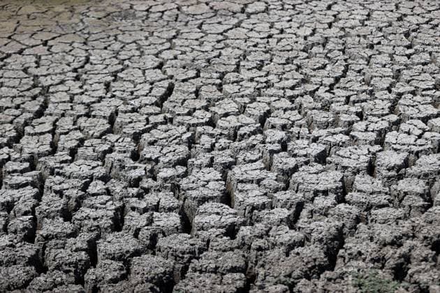 Creative Highlights World Drought Dries Up Musellim Pond in Turkiye KIRKLARELI, TURKIYE - JULY 29: An aerial view shows dead fish and cracked earth as the water level drops at Musellim Pond, which is used by grazing animals, following severe drought and extreme heat in Babaeski district of Kirklareli, Turkiye, on July 29, 2025. Ozgun Tiran Anadolu Kirklareli Turkey. Editorial use only. Please get in touch for any other usage.  Copyright: x2025xAnadoluxOzgunxTiranx
