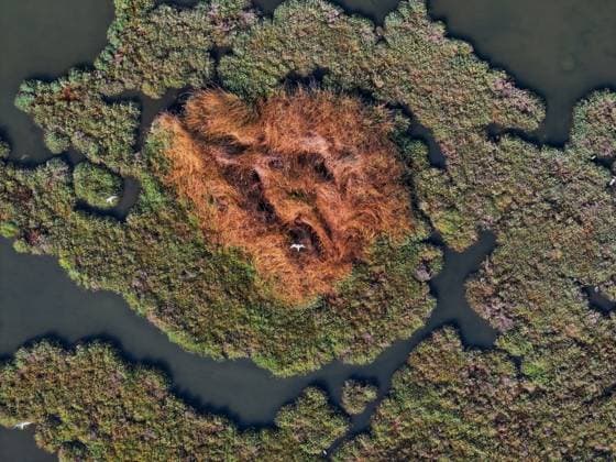 Bilder des Jahres 2025, News 07 Juli Turkiye s Cakalburnu Lagoon attracts attention with its natural beauties IZMIR, TURKIYE – JULY 16: Aerial view of the Cakalburnu Lagoon in southern Gulf of Izmir, revealing intricate wetland patterns that serve as a vital feeding habitat for birds, juvenile fish, and other wildlife, captured on July 16, 2025. Lokman Ilhan Anadolu Izmir Turkey. Editorial use only. Please get in touch for any other usage.  Copyright: x2025xAnadoluxLokmanxIlhanx