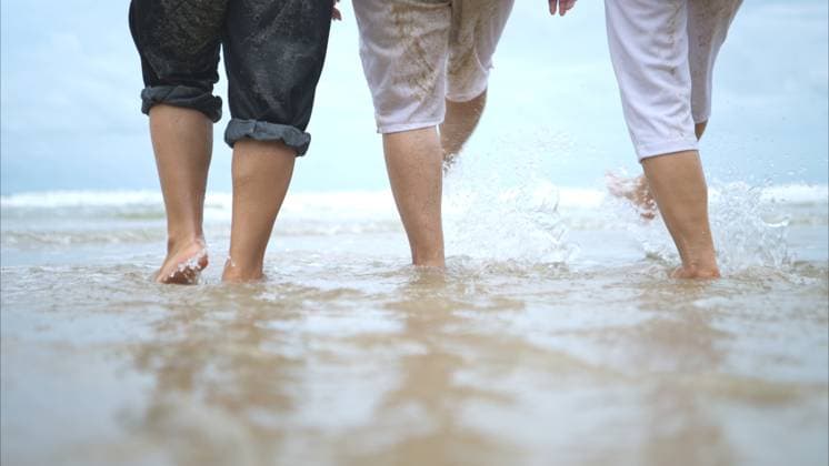 Creative Highlights Symbolbilder Füsse älterer Frauen, die sich am Strand vergnügen Füsse älterer Frauen, die sich am Strand vergnügen (License=RF) ,model released, Symbolfoto Copyright: xZoonar.com SunanxWongsa-ngax 23809073 ,model released, Symbolfoto ,property released