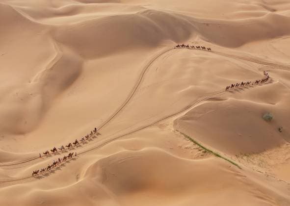 250803 -- BEIJING, Aug. 3, 2025 -- An aerial drone photo taken on Aug. 1, 2025 shows people riding camels at a desert scenic area in Dalad Banner of Erdos City, north China s Inner Mongolia Autonomous Region. Kubuqi desert in Erdos City has entered its peak tourist season in midsummer, attracting numerous tourists from around the country to visit. XINHUA PHOTOS OF THE DAY LianxZhen  XINHUA PHOTOS OF THE DAY IMAGO LianxZhen  imago images 1064720754