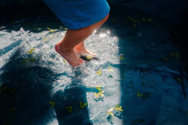 Creative Highlights Symbolbilder Small child playing in a backyard pool full of leaves Villa Park, Illinois, United States R_CXLZ2507311B-1798392-01
