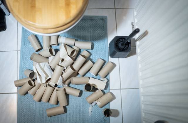 Symbolic image about toiletpaper on Aug 4, 2025 in Marktoberdorf, Germany. Model released, property released.