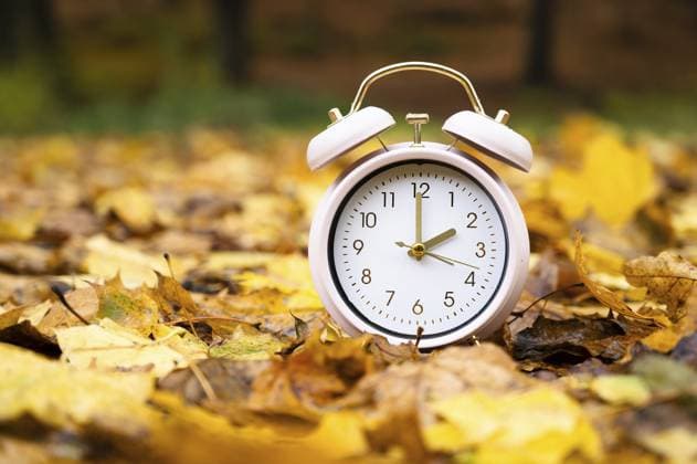 Winterzeitumstellung, Ende der Sommerzeit im Herbst, Wecker Rückstellung, Wald mit buntem Laub Winter time changeover, end of daylight saving time in autumn, alarm clock fall back switch, forest with colorful foliage Copyright: imageBROKER BeritxKessler ibxiqx14546854.jpg