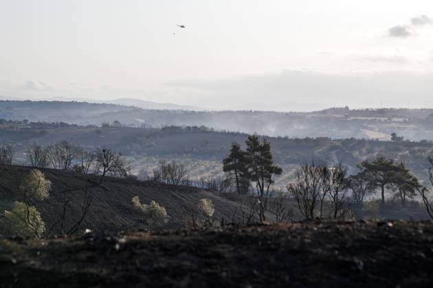 News Themen der Woche KW32 Firefighting efforts underway as blaze spreads from farmland to forest in Turkiye s Canakkale CANAKKALE, TURKIYE - AUGUST 9: Aircraft drop water over a forest fire as ground crews continue efforts to fully contain the blaze that started in the rural area of Yigitler village and spread to nearby woodland in Bayramic, Canakkale, Turkiye, on August 9, 2025. Arife Karakum Anadolu Canakkale Turkey. Editorial use only. Please get in touch for any other usage.  Copyright: x2025xAnadoluxArifexKarakumx