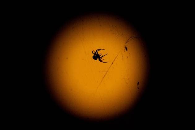 News Themen der Woche KW32 August 9, 2025, Ydre, Ostergotland, Sweden: A spider moves across its web with the full moon rising in the background in Ydre, Sweden. Ydre Sweden - ZUMAb332 20250809_zip_b332_015 Copyright: xMatiasxBasualdox