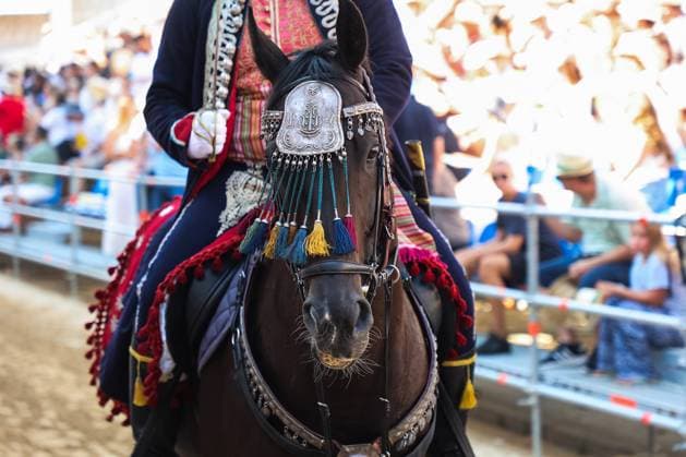 Entertainment Themen der Woche KW32 Sinjska Alka A rider and his decorated horse take part in theceremonial parade ahead Alka competition in the town of Sinj in southern Croatia August on 10, 2025. Alka is a horseback riding tournament which has been held every August in the Croatian town of Sinj since 1715, commemorating the victory over Ottoman Turkish administration. The tournament is named after the ring, Alka, which the horseback rider has to hit with his spear.  IvanaxIvanoviclj PIXSELL