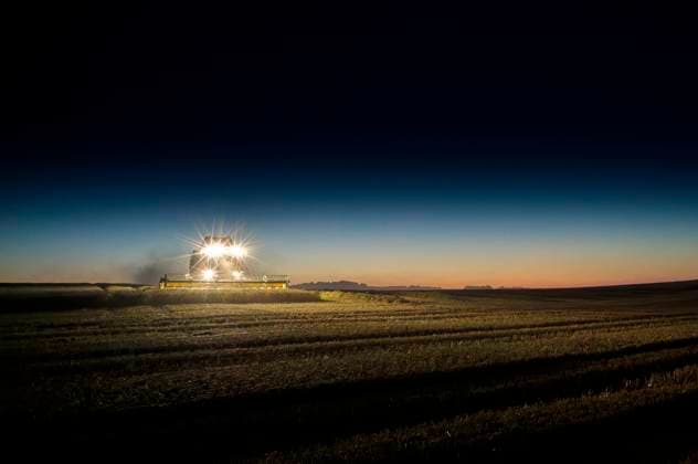 News Themen der Woche KW32 Getreideernte in Thüringen, 10.08.2025 Erfurt Thüringen Deutschland *** Grain harvest in Thuringia, 10 08 2025 Erfurt Thuringia Germany