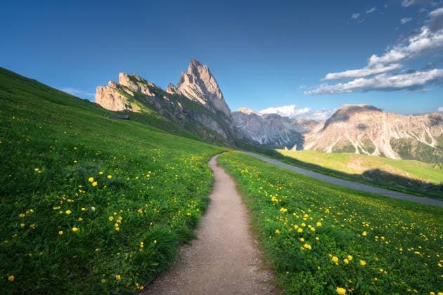 Path with vibrant wildflowers in Seceda mountain at sunset in summer. Dolomites, Italy. Colorful landscape with mountain peaks, alpine meadows, trail, green grass, yellow flowers, blue sky. Hiking Model Released DenisBilytskyi_ID30359_1024615_017 Copyright: xx