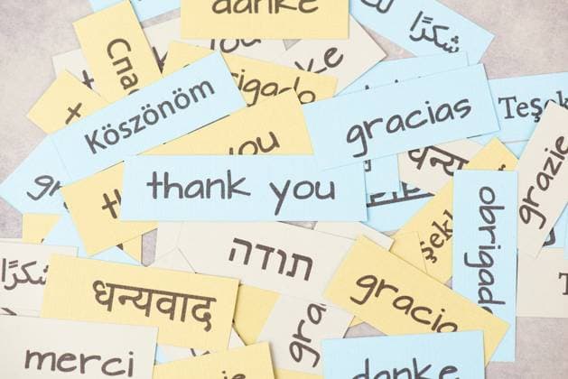 Dankeschön-Tag, das Wort Dank in verschiedenen Sprachen, Dankbarkeit, Unterstützung, Hilfe und Wohltätigkeit *** Thank you Day, the Word Thanks to in various Languages, Gratitude, Support, Help and Charity 1133602542