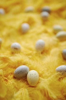 Zusammensetzung der Pastell bunte Ostereier liegen unter den gelben Hintergrund Federn für die Osterferien. Flach legen. Ansicht von oben Composition of pastel colorful easter eggs lie among of yellow background feathers for Easter holidays. Flat lay. Top view Copyright: imageBROKER DanielxDash ibxiqx14452957.jpg ,model released, Symbolfoto ,property released
