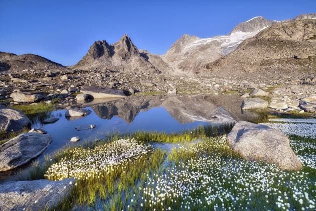Creative Highlights World Berge spiegeln sich in einem Bergsee im Furkagebiet, blühendes Wollgras (Eriophorum), Urserental, Kanton Uri, Schweiz Mountains reflected in a mountain lake in the Furka region, flowering cotton grass (Eriophorum), Urseren Valley, Canton Uri, Switzerland Copyright: imageBROKER DanielxBärtschi ibxdab14650978.jpg