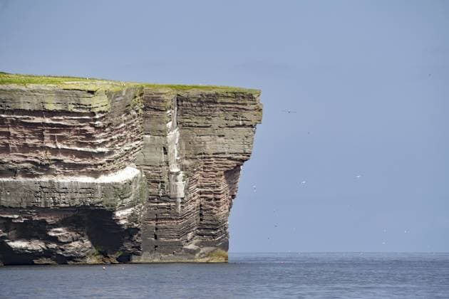 Creative Highlights World Hohe Felsklippe über dem blauen Meer unter klarem Himmel, Noss, Shetlandinseln, Schottland, Großbritannien High cliff above the blue sea under a clear sky, Noss, Shetland Islands, Scotland, United Kingdom Copyright: imageBROKER ReinhardxPantke ibxrpa14615378.jpg