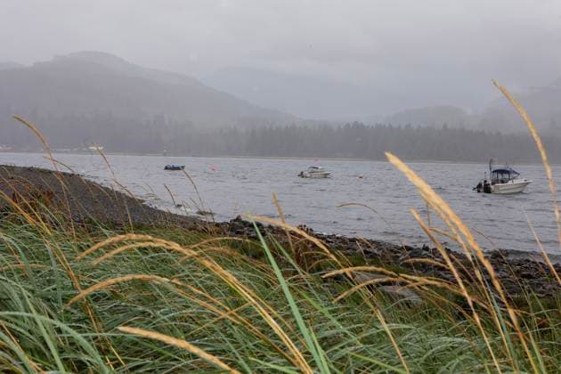 August 16, 2025, Port Alberni, Bc, CAN: Rain and smoke from the Underwood Mountain wildfire can be seen from across the Alberni Inlet at the Macktush Creek Campsite off Canal Main Rd. south of Port Alberni, B.C., on Saturday, August 16, 2025. Port Alberni CAN  - ZUMAc35_ 20250816_zaf_c35_131 Copyright: xChadxHipolitox