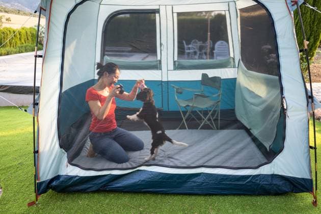 Woman photographing her Cavalier King Charles Spaniel An Asian woman kneels with a camera, capturing playful moments of her Cavalier King Charles Spaniel inside a tent. The dog eagerly jumps for attention as she smiles Model Released JuanAlbertoRuiz_ID30620_1035859_009 Copyright: xJuanxAlbertoxRuizx RECORD DATE NOT STATED