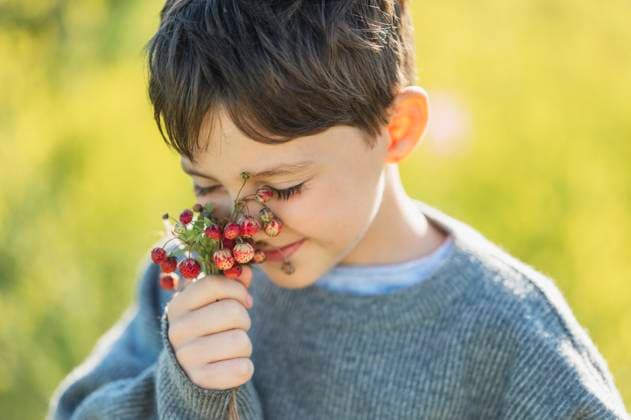 Creative Highlight Symbolbilder Child smelling wild strawberry in forest outdoors wearing sweater model released, Symbolfoto, ANAF04904