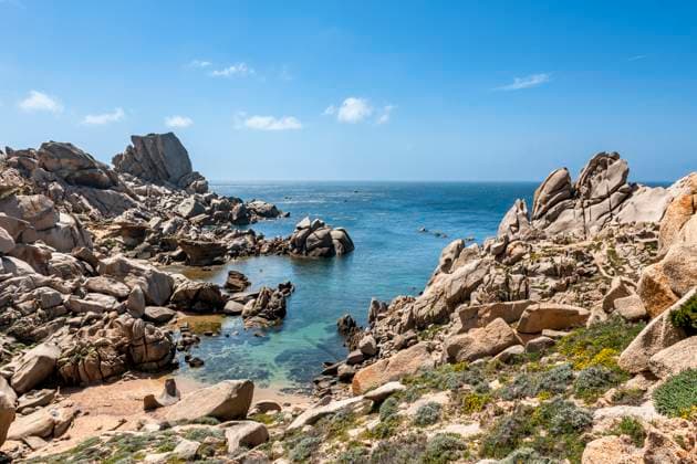 Creative Highlights World Rocky bay with turquoise sea and wildflowers at Capo Testa Sardinia, Sardinien Italien EGBF01554