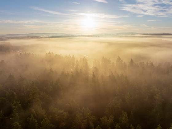 Aerial sunrise view of foggy autumn forest in Upper Palatine Forest Bavaria, RUEF04763