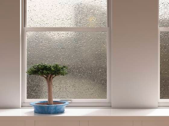 IMAGO Creative, Jahreszeit Sommer, Regen, Sommerregen Bonsai tree on windowsill indoors during rainy weather symbolizing relaxation, UWF02003