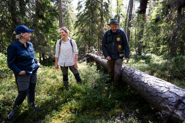 Swedens Crown Princess Victoria visits Björnlandet National Park in Åsele, Sweden, on August 25, 2025 SWEDEN x10050x  Copyright: xPontusxLundahl TTx CROWN PRINCESS IN BJÖRNLANDETA NATURE RESERVE 3I6dbT1m-Do