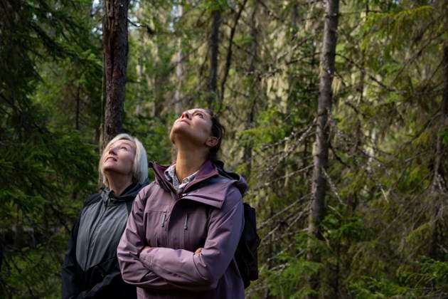 Swedens Crown Princess Victoria visits Björnlandet National Park in Åsele, Sweden, on August 25, 2025 SWEDEN x10050x  Copyright: xPontusxLundahl TTx CROWN PRINCESS IN BJÖRNLANDETA NATURE RESERVE 7bDUkjNQepM