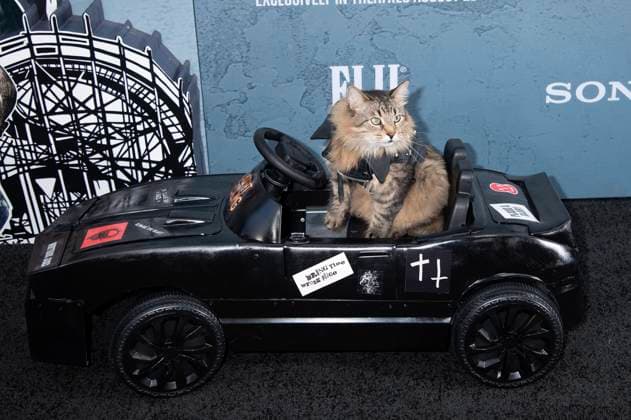 Entertainment Bilder des Tages Tonic the Cat bei der Premiere des Kinofilms Caught Stealing im Regal Union Square. New York, 26.08.2025