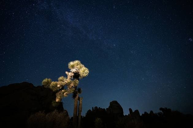 Kalendermotive: Joshua Tree National Park Stargazing at Joshua Tree National Park in California CALIFORNIA, USA - AUGUST 27: A view of stargazing at Joshua Tree National Park, a vast protected area in southern California characterized by rugged rock formations and stark desert landscapes, in California, United States, on August 27, 2025. Tayfun Coskun Anadolu California United States. Editorial use only. Please get in touch for any other usage.  Copyright: x2025xAnadoluxTayfunxCoskunx