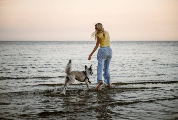 Woman and dog playing together on Baltic sea coast, Latvia B?rzciems, Tukums Municipality, Latvia R_PJJZ2509018A-1817181-01 ,model released, Symbolfoto